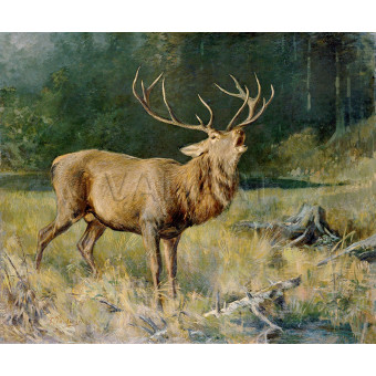 РЕПРОДУКЦИИ НА КАРТИНИ Ревящ елен (1885)